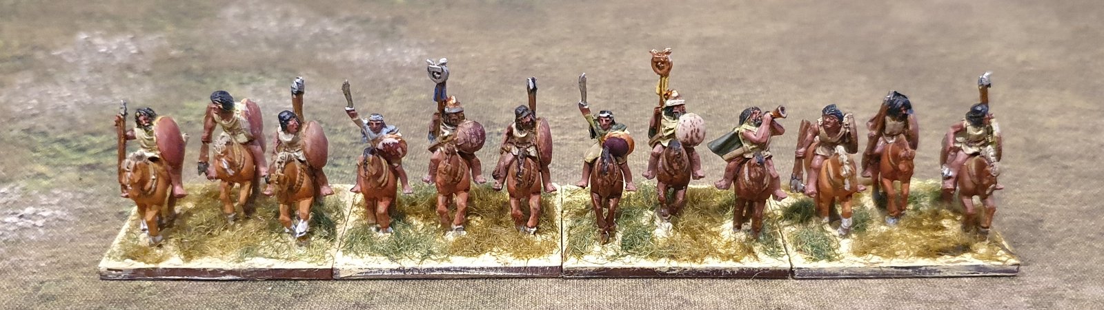 Numidian Medium Cavlary