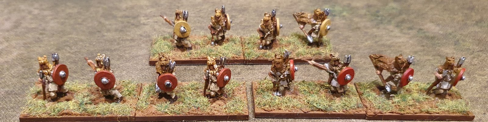 Velites